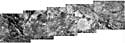 Click to enlarge !