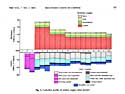 Cash flow diagram for copper mine
