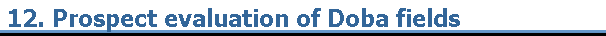 12. Prospect evaluation of Doba fields