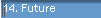 14. Future