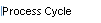 Process Cycle