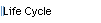 Life Cycle